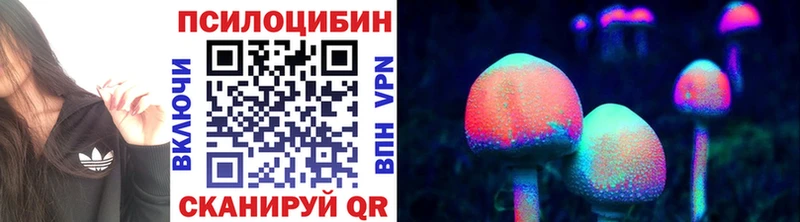 мега зеркало  Трёхгорный  Галлюциногенные грибы Psilocybine cubensis  цена  